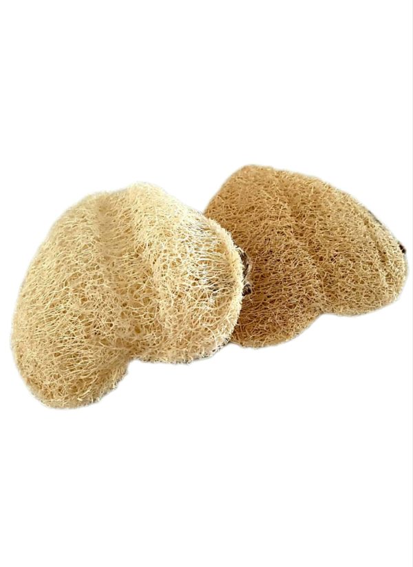 Un cœur en forme de loofah brut double face.