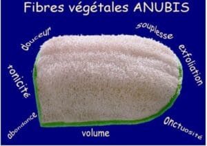 Un gant en loofah montrant la qualité de la fibre Egyptienne.