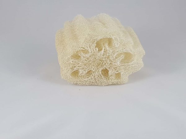 Morceau de loofah brut coupé en tronçon de 10cm.