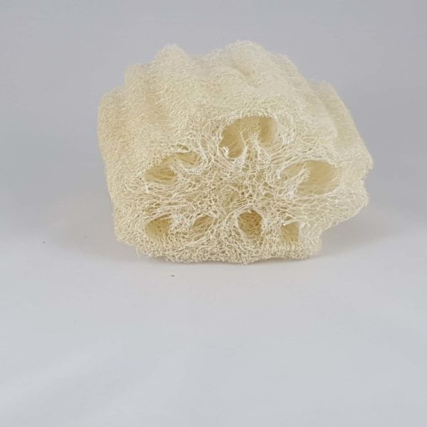 Morceau de loofah brut coupé en tronçon de 10cm.