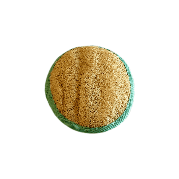Une paumette de couleur verte face loofah.