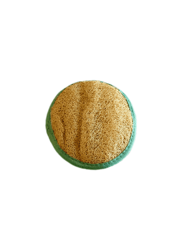 Une paumette de couleur verte face loofah.