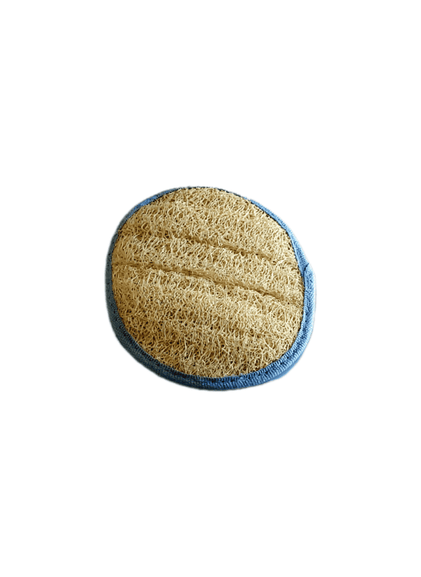 Une paumette de couleur bleue face loofah.