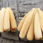 Plusieurs loofahs bruts en train de sécher.