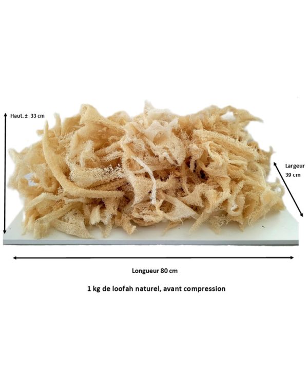 Des particules de calage en loofah d'Egypte représentant un kilogramme.