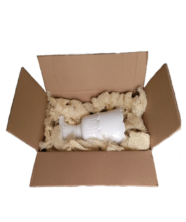 Carton contenant des particules de calage en loofah d'Egypte.