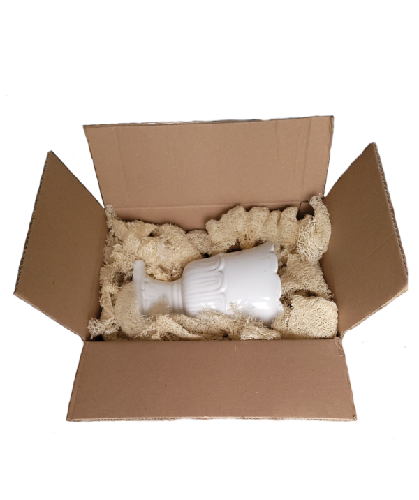 Carton contenant des particules de calage en loofah d'Egypte.